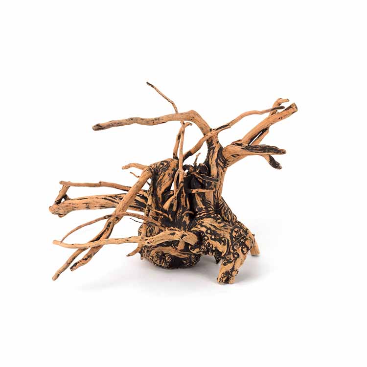 Wholesale Hot Sale Natural Dec - Aquarium Plants For Sale review and price