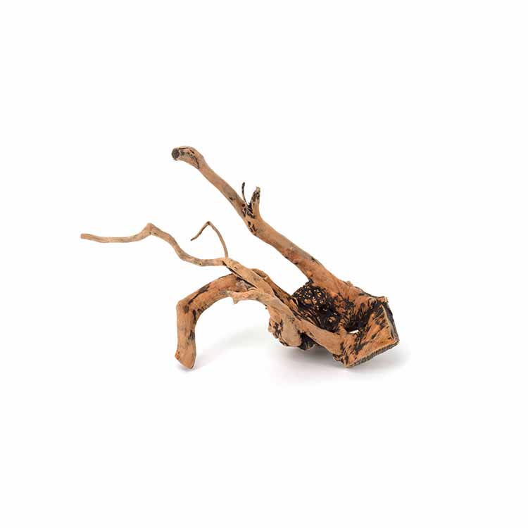 Wholesale Hot Sale Natural Dec - Aquarium Plants For Sale review and price