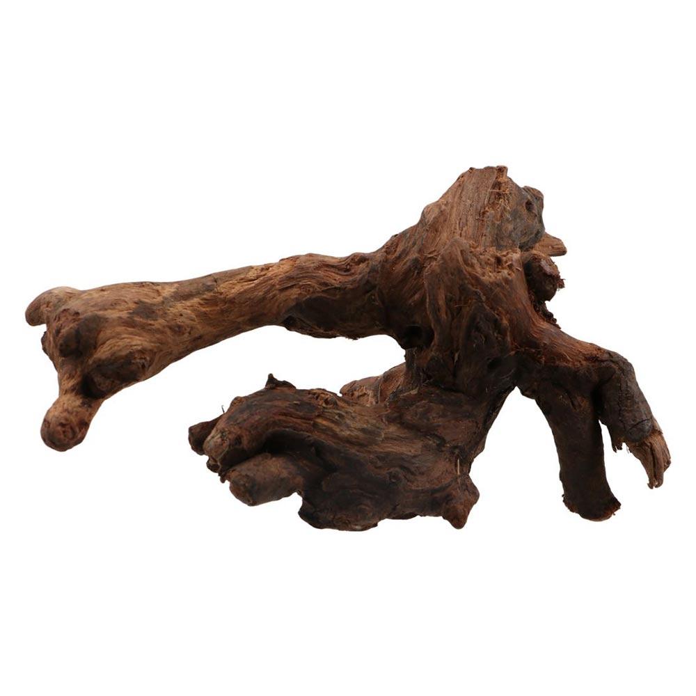 Creative Irregular Shape Coral - Aquarium Plant Root Tabs review and price