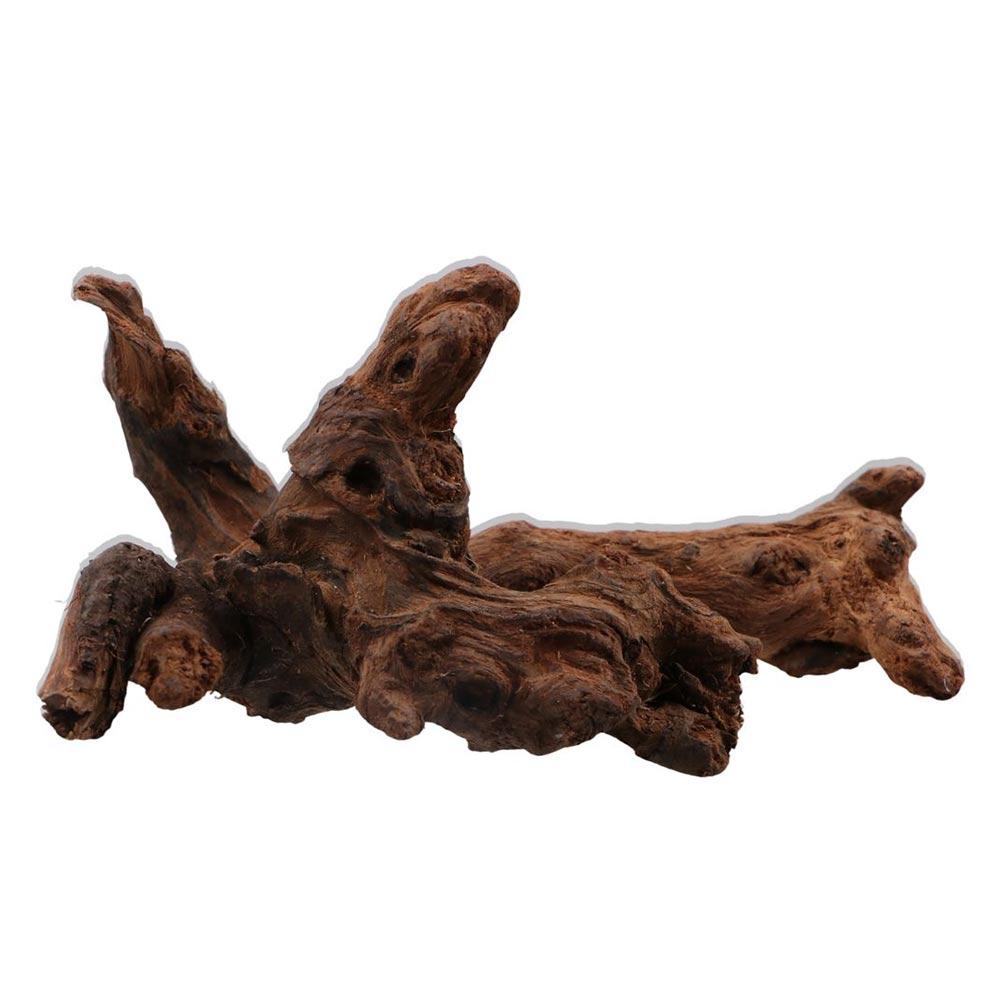 Creative Irregular Shape Coral - Aquarium Plant Root Tabs review and price