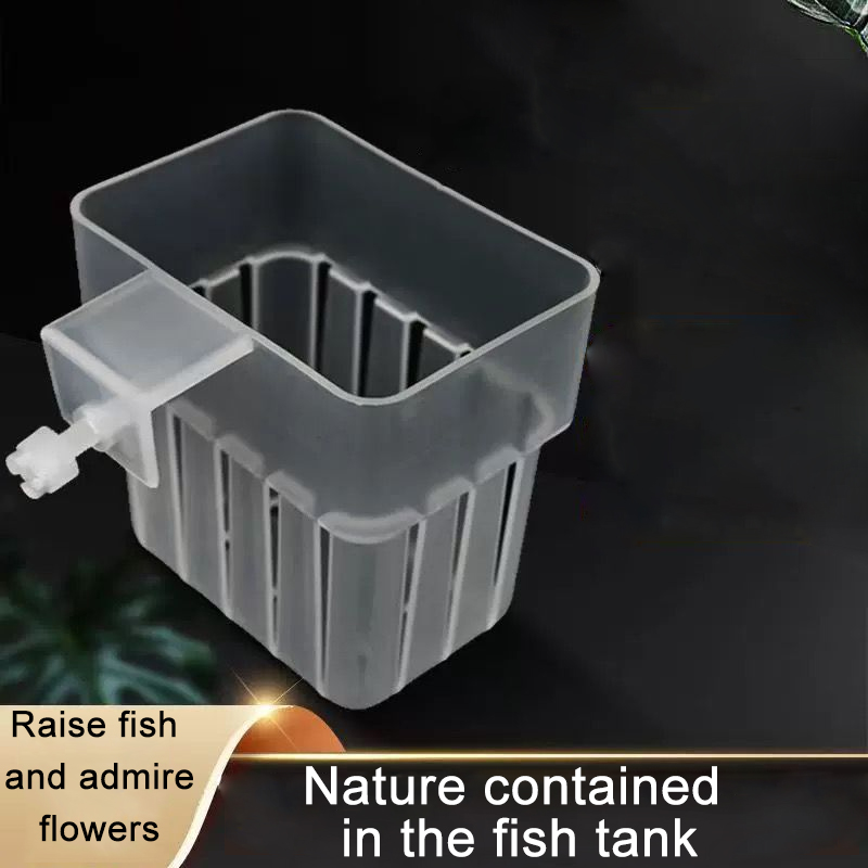 Aquarium Transparent Hydroponi - Aquarium Plant Display review and price