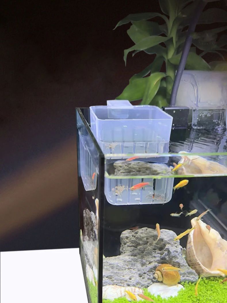 Aquarium Transparent Hydroponi - Aquarium Plant Display review and price