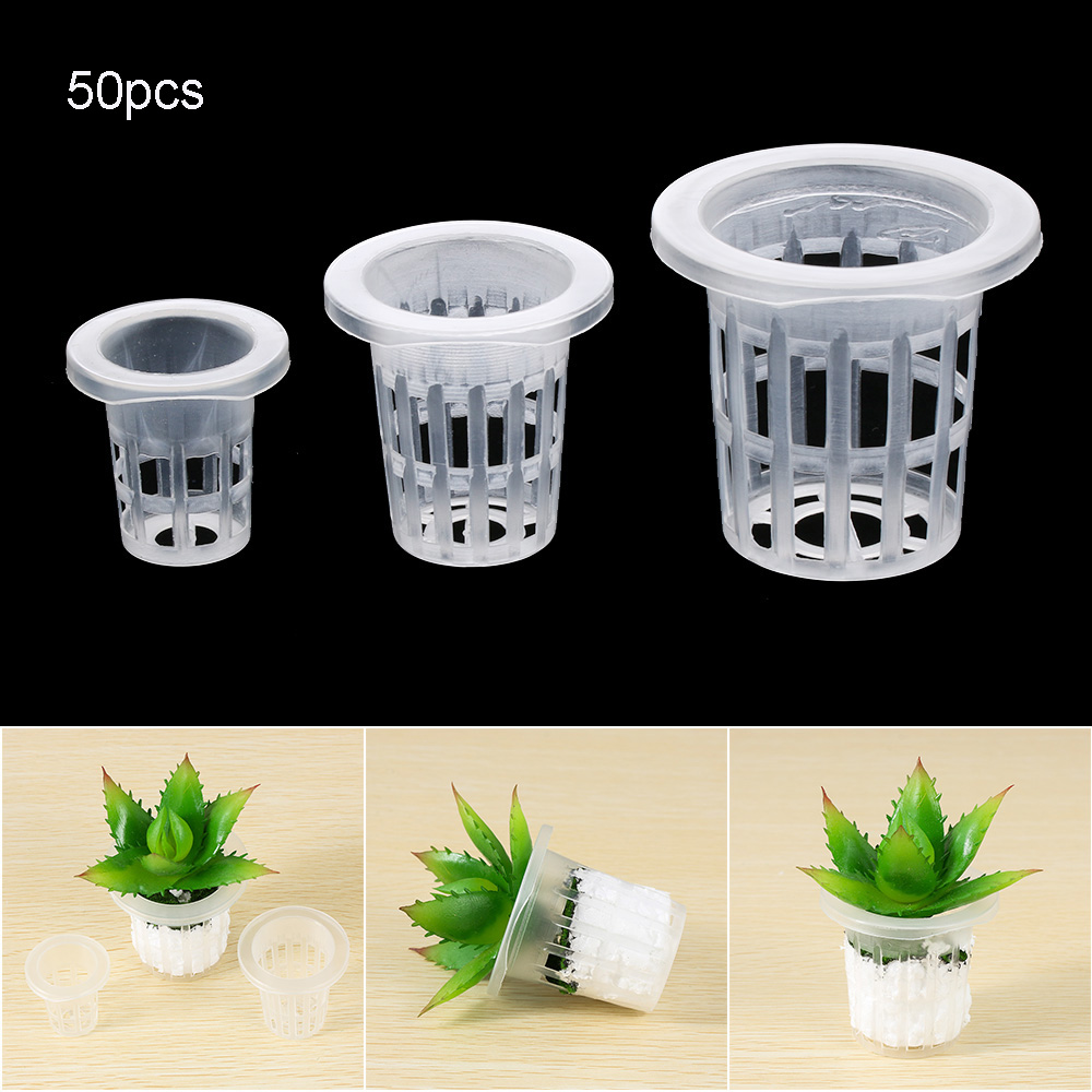 10/50pcs Garden Supplies Aquar - Aquarium Planted Seeds review and price