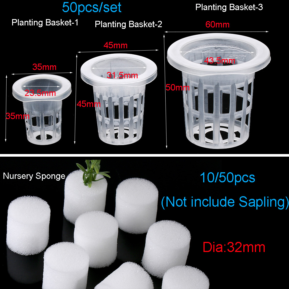10/50pcs Garden Supplies Aquar - Aquarium Planted Seeds review and price