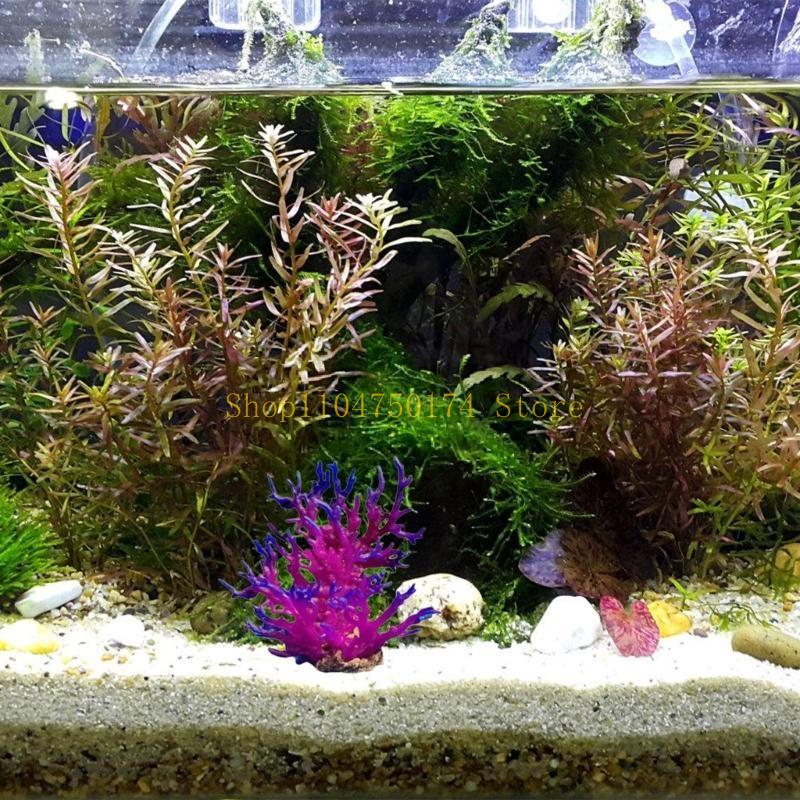 Artificial Water Plant Aquariu - Aquarium Plants For Sale review and price