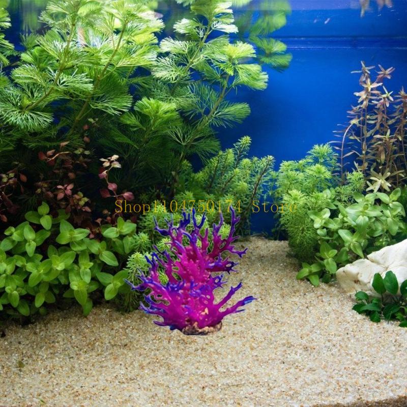Artificial Water Plant Aquariu - Aquarium Plants For Sale review and price