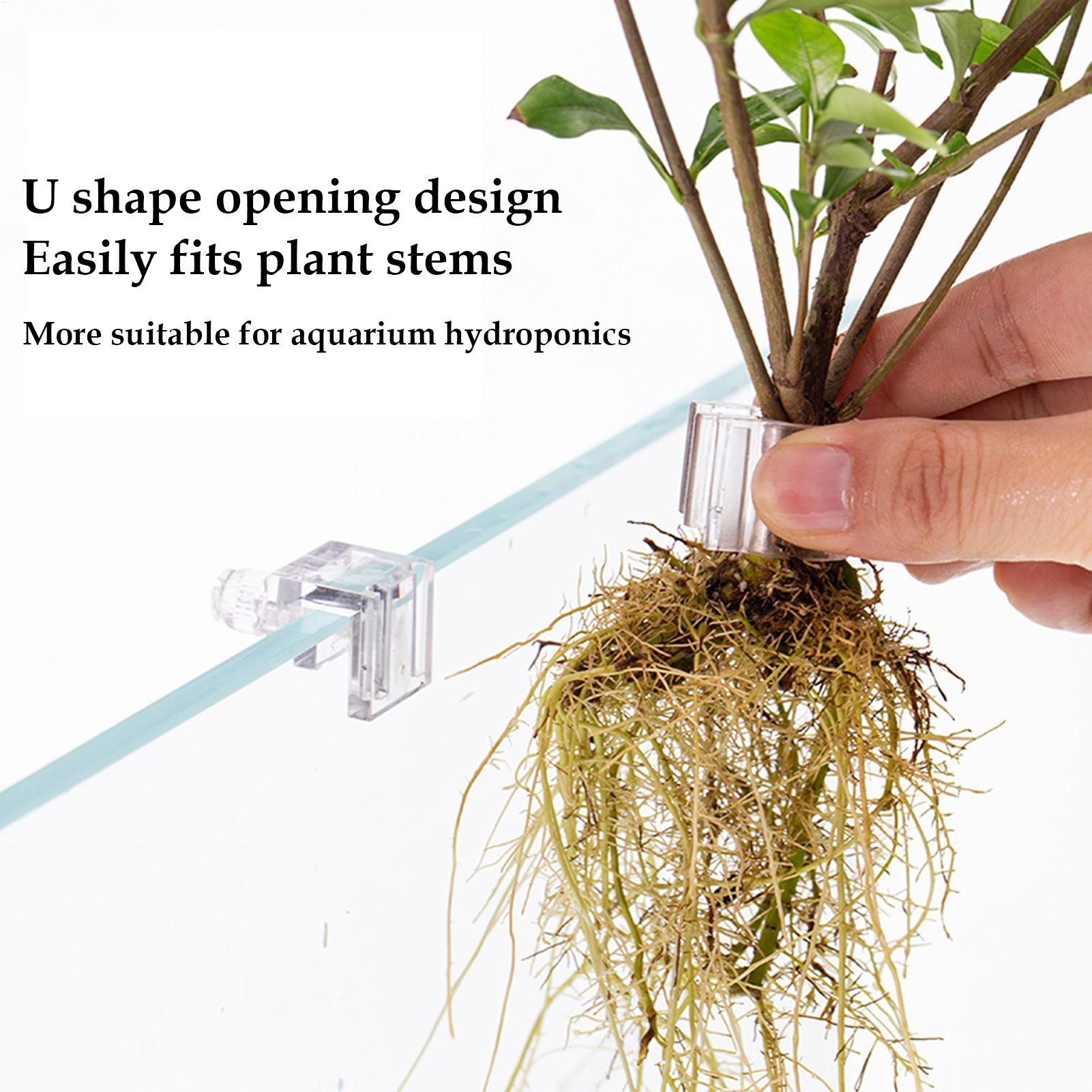 Aquarium Plant Basket Transpar - Aquarium Plant Display review and price