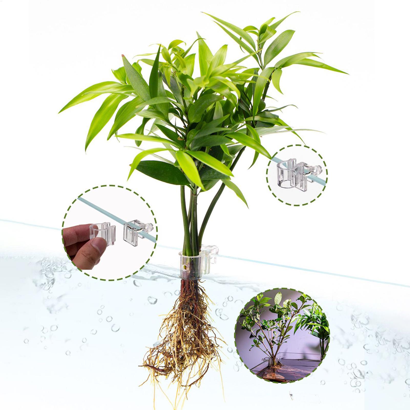 Aquarium Plant Basket Transpar - Aquarium Plant Display review and price