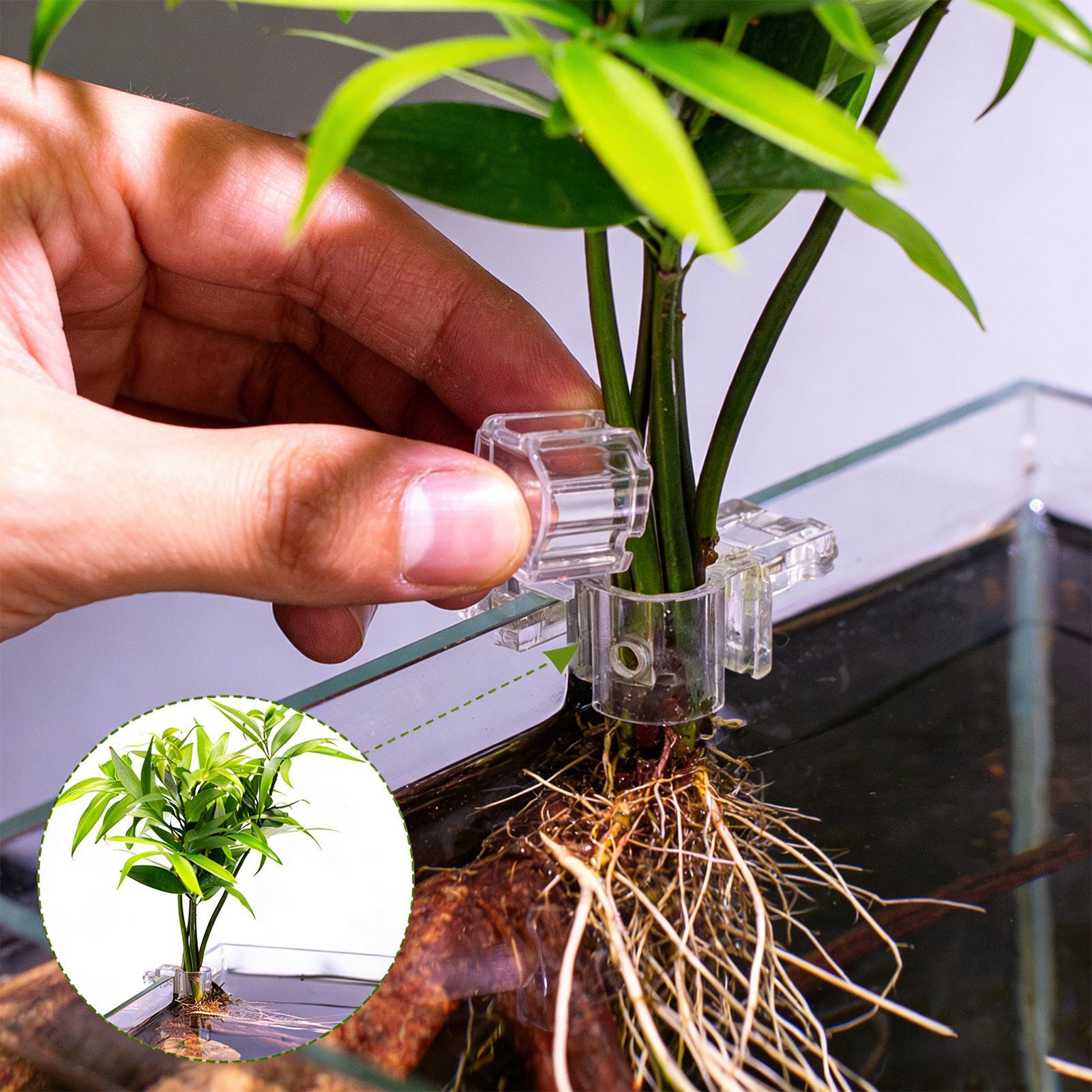 Aquarium Plant Basket Transpar - Aquarium Plant Display review and price