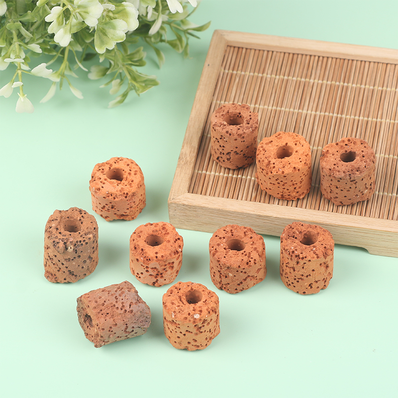 ^10Pcs Plant Ring Aquarium Fix - Planted Aquarium Products review and price