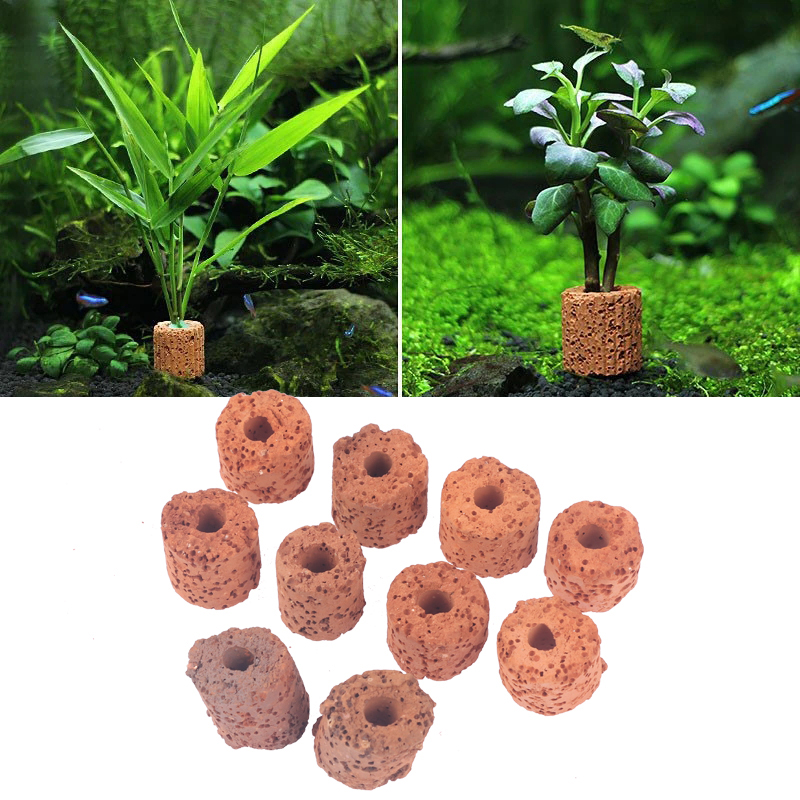 ^10Pcs Plant Ring Aquarium Fix - Planted Aquarium Products review and price