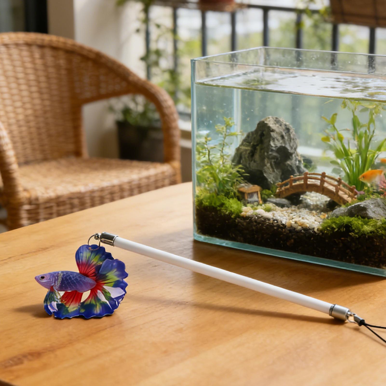 Fish Training Wand For Betta I - Planted Aquarium For Beginners review and price