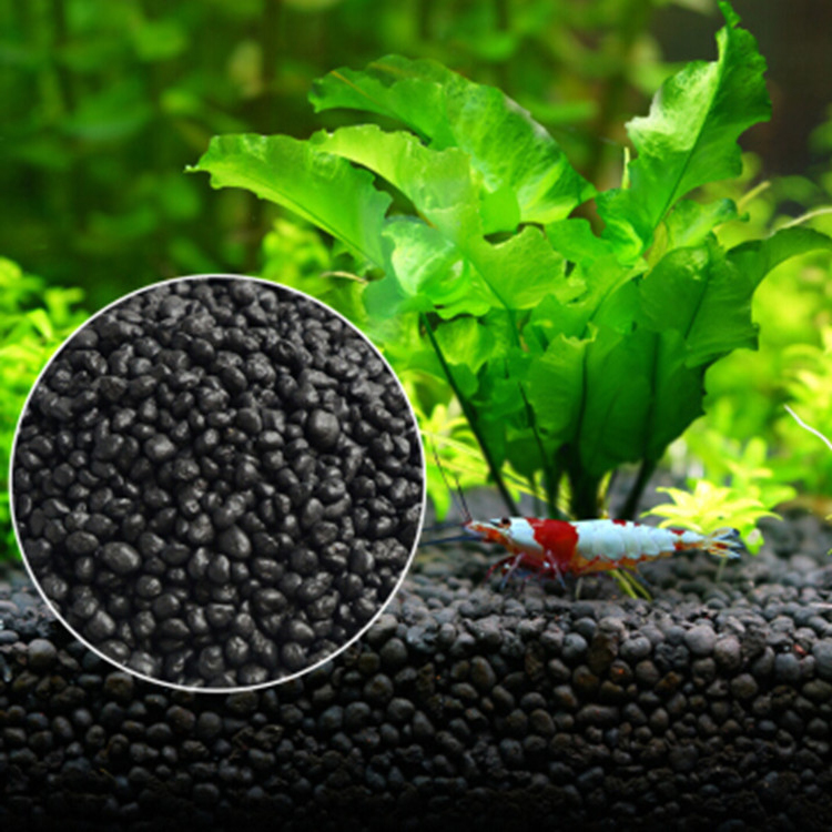 Aquarium Plant Seeds Soil Fish - Aquarium Planted Seeds review and price