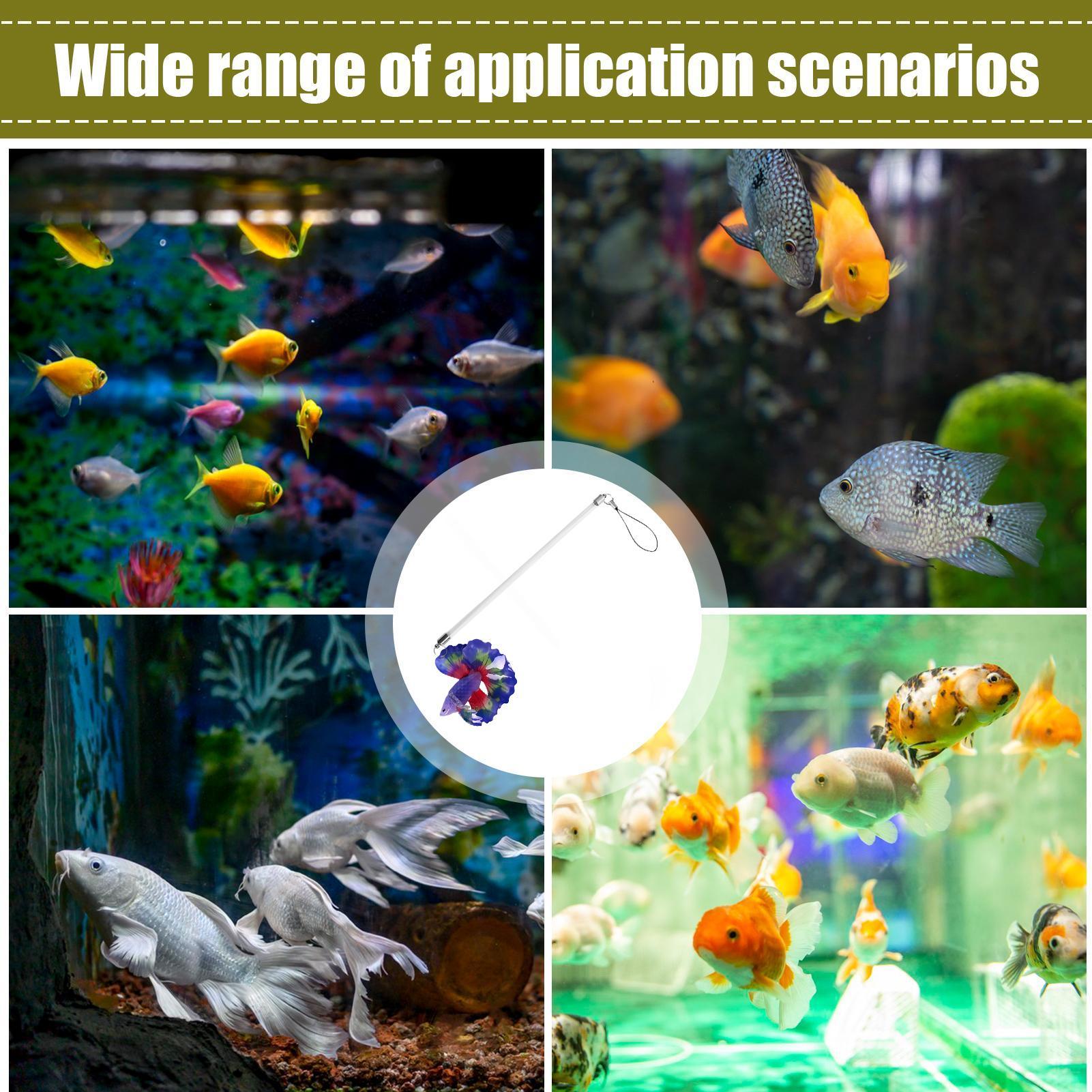 Fish Training Wand Realistic A - Planted Aquarium For Beginners review and price