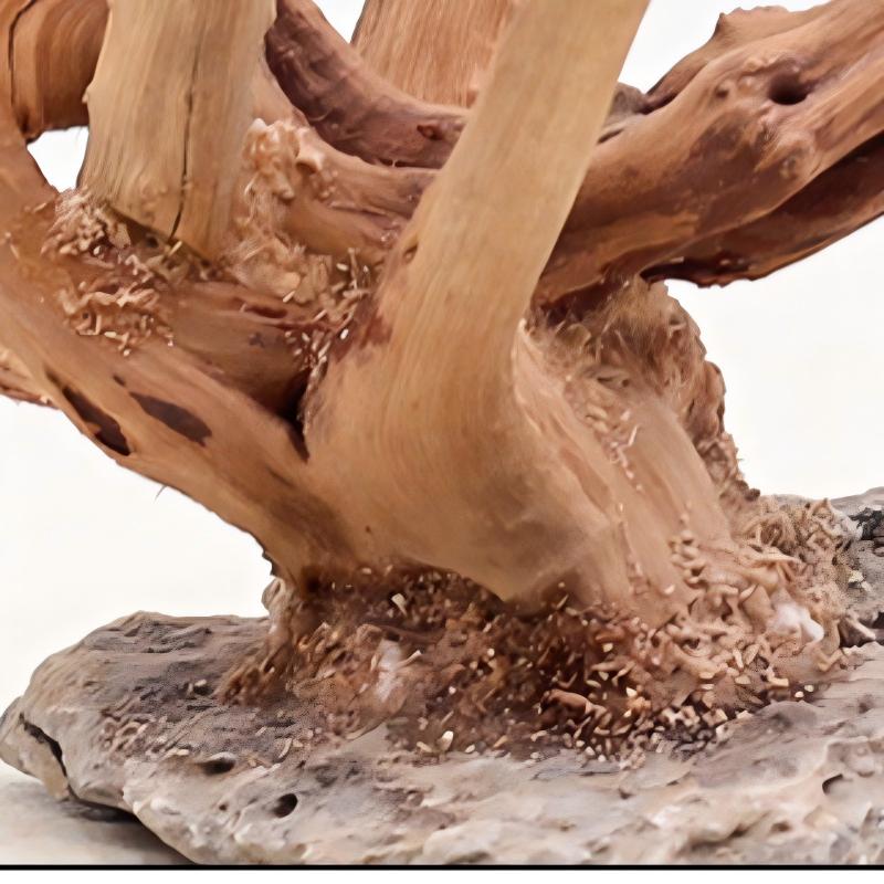 1PC Aquarium Landscaping Wood  - Aquarium Plant Root Tabs review and price