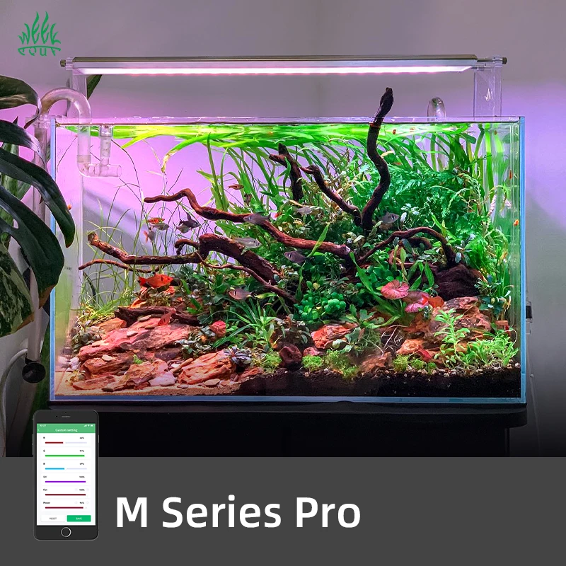 ZXY Hot Sales WEEK AQUA M1200P - Aquarium Plants For Sale review and price