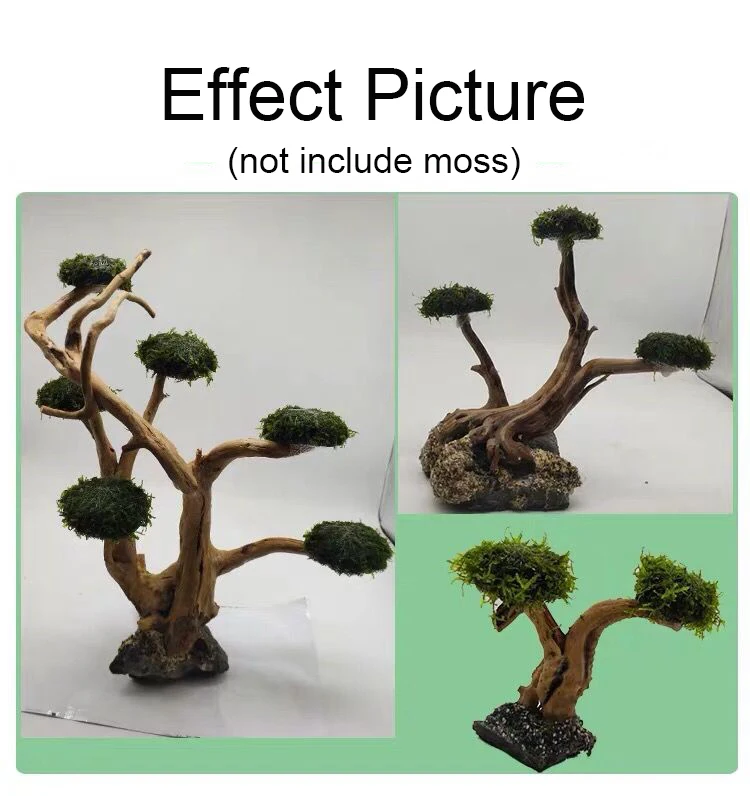 Aquarium Driftwood Landscaping - Aquarium Plant Root Tabs review and price