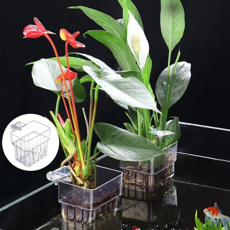 Multifunctional Fish Aquarium  - Aquarium Planted Fish review and price