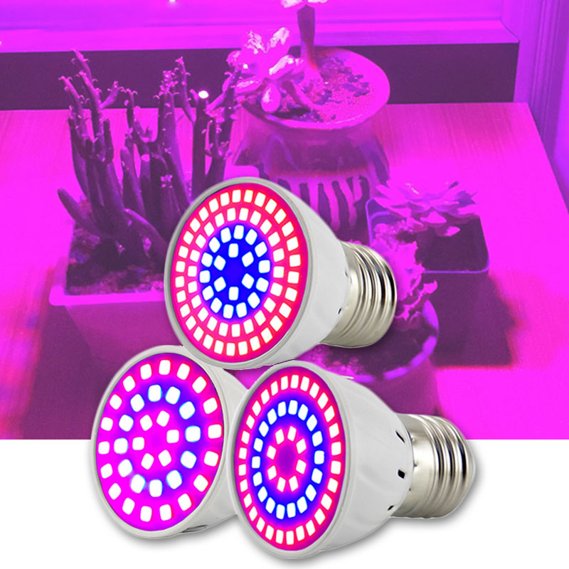 2/3 Head LED Plant Grow Light  - Aquarium Plant Root Tabs review and price