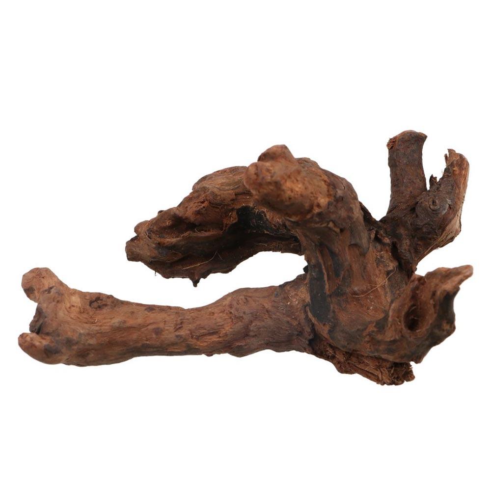 Decorative Irregular Shape Cor - Aquarium Plant Root Tabs review and price