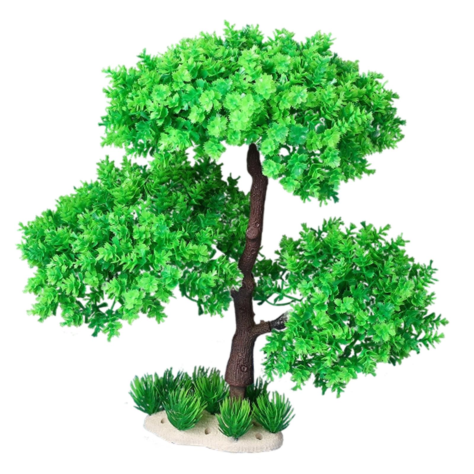 Aquarium Plants for Freshwater - Planted Aquarium Models review and price