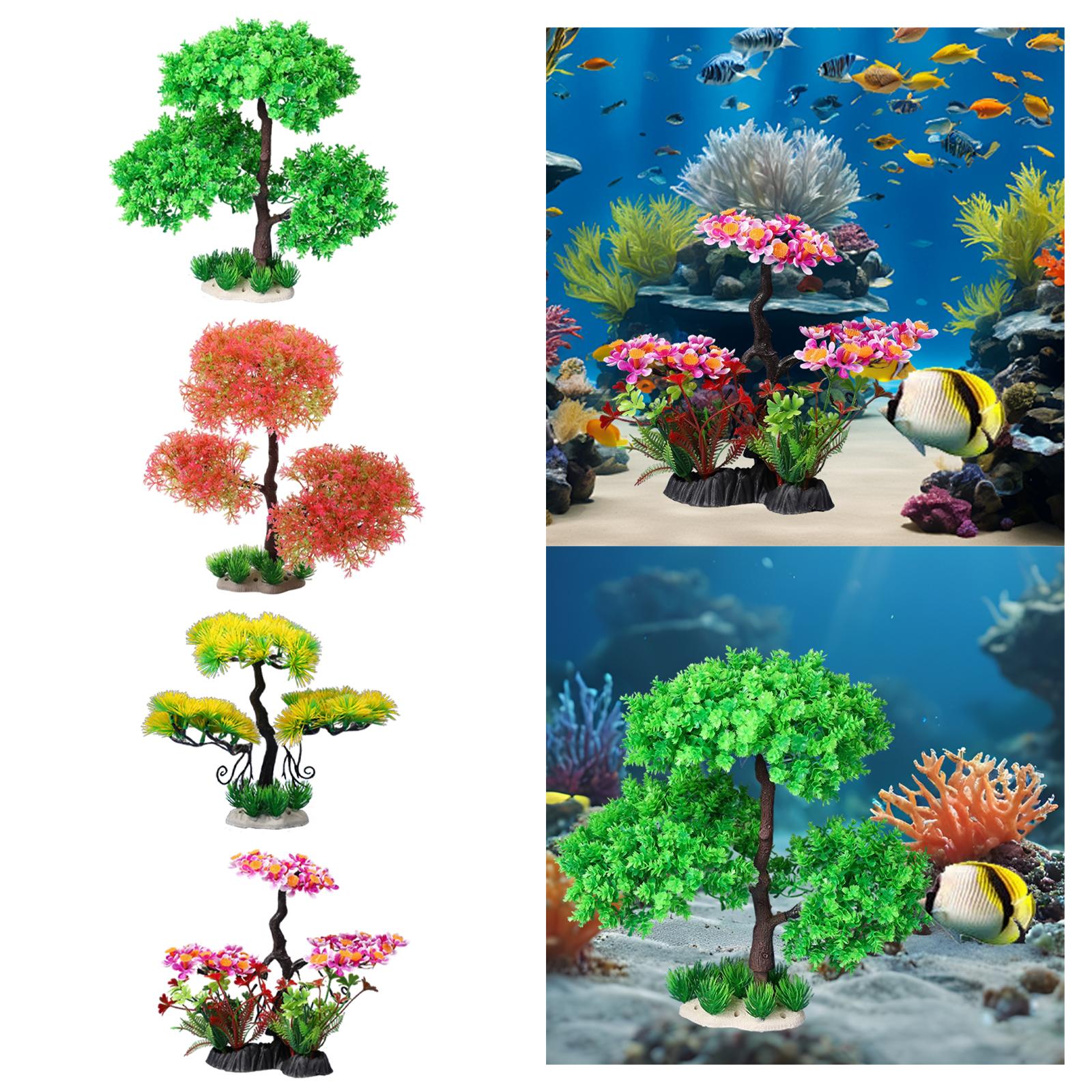 Aquarium Plants for Freshwater - Planted Aquarium Models review and price