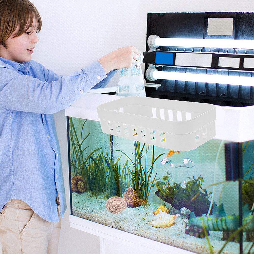 2Pcs Aquarium Plant Holder Han - Live Plant Aquarium Set Up review and price