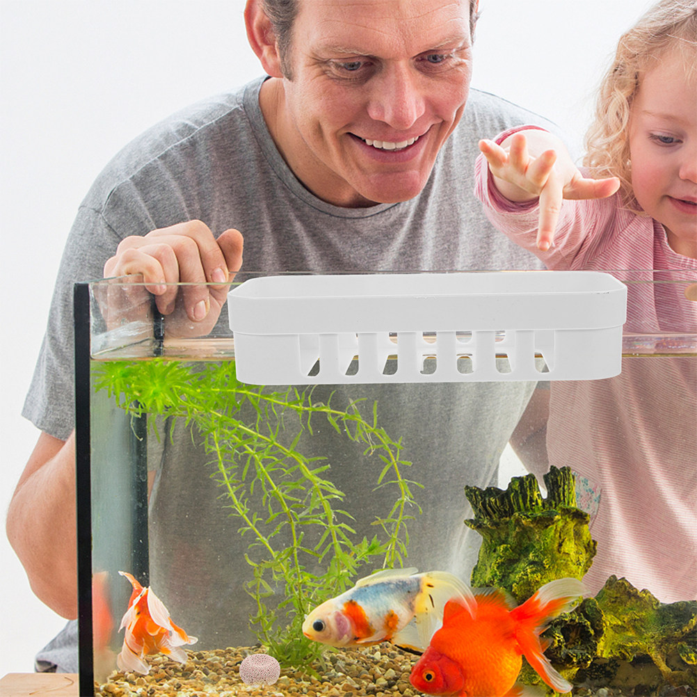 2Pcs Aquarium Plant Holder Han - Live Plant Aquarium Set Up review and price