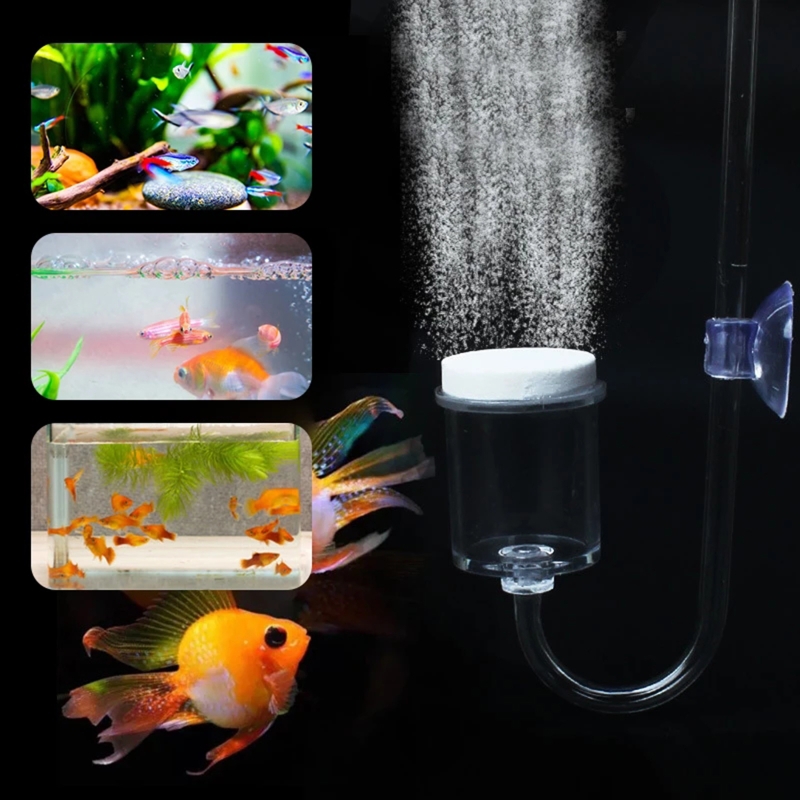 4pcs Set DIY CO2 Diffuser For  - Planted Aquarium Moss review and price