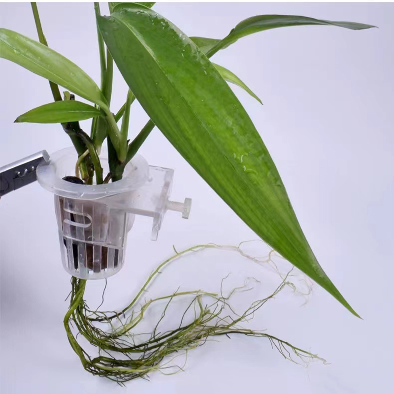 Aquarium Planting Basket Hydro - Aquarium Plant Display review and price