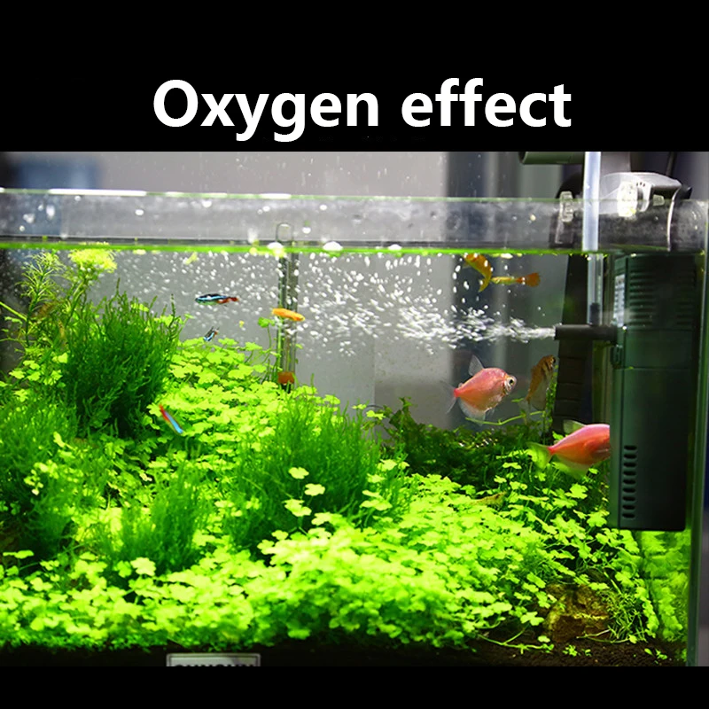 SUNSUN mini nano 111B 311B 611 - Planted Aquarium Products review and price