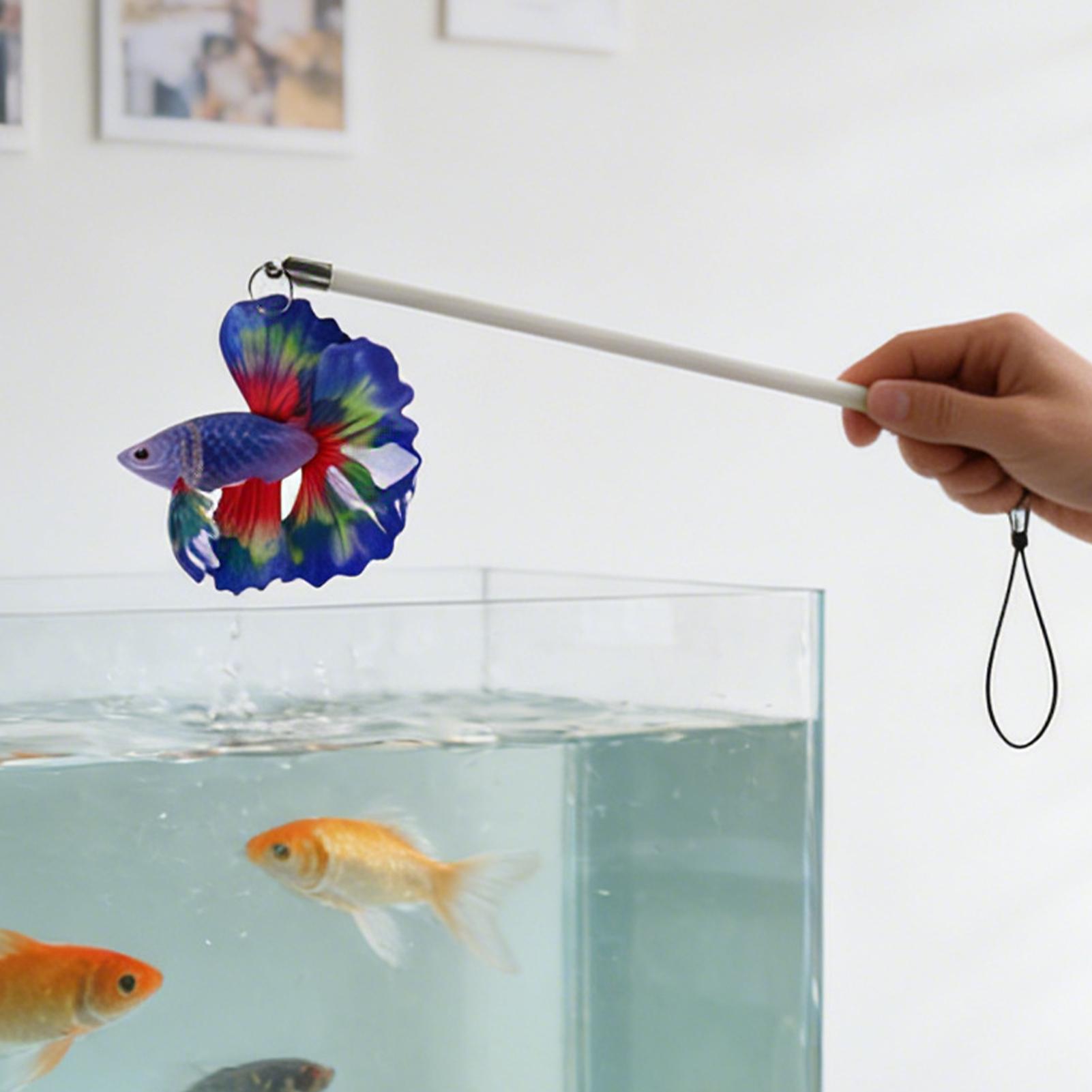 Fish Training Stick Realistic  - Planted Aquarium For Beginners review and price
